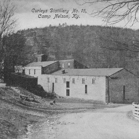PROPERTY | E.J. Curley & Co.